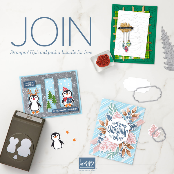 Now is a fabulous time to join Stampin’ Up! From now to Sept 30th you'll get a bonus of even MORE FREE products in you customizable Starter Kit.